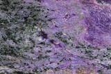 Beautiful, Purple, Polished Charoite Slab - Siberia #115018-1